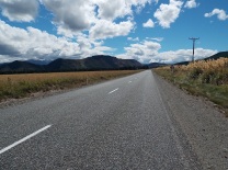 The open road of NZ